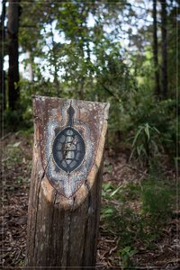 1200_Frame_A6500051.jpg 1200_Frame_A6500051.jpg