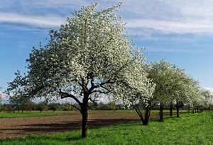 Bild 13.04.18 um 19.19.jpg