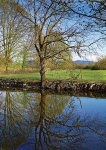 Bild 13.04.18 um 21.40.jpg