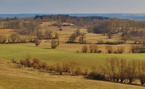 DSC02225 (1024x624).jpg