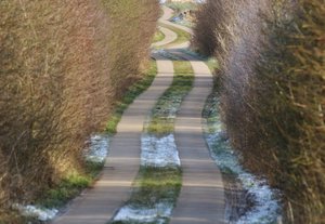 IMG_6380 (1024x706).jpg