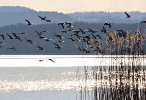 IMG_6444 (1024x702).jpg