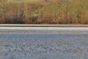 IMG_6593 (1024x683).jpg