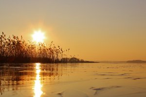 IMG_6879 (1280x854).jpg