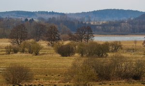 IMG_8458 (1024x605).jpg