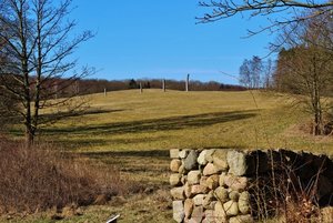 IMG_8757 (1024x683) (640x427).jpg