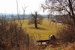 IMG_8940 (1024x683) (800x534).jpg