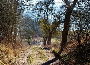 xx (1024x733) (640x458).jpg