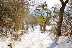 xxx (1024x682) (800x533).jpg