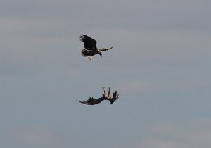 IMG_4047 (1280x895).jpg