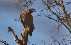 IMG_9662 (1024x655).jpg