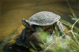 1200_Frame_A6500010.jpg 1200_Frame_A6500010.jpg