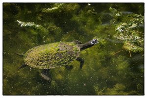 1200_Frame_A6500050-Bearbeitet.jpg 1200_Frame_A6500050-Bearbeitet.jpg