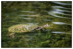 1200_Frame_A6500081-Bearbeitet.jpg 1200_Frame_A6500081-Bearbeitet.jpg