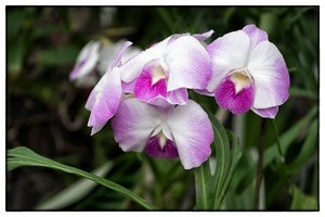 1200_Frame_A6500142-Bearbeitet-Bearbeitet.jpg 1200_Frame_A6500142-Bearbeitet-Bearbeitet.jpg