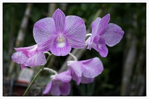 1200_Frame_A6500144-Bearbeitet.jpg 1200_Frame_A6500144-Bearbeitet.jpg