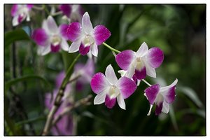 1200_Frame_A6500152-Bearbeitet-Bearbeitet.jpg 1200_Frame_A6500152-Bearbeitet-Bearbeitet.jpg