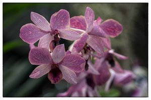 1200_Frame_A6500155-Bearbeitet-Bearbeitet.jpg 1200_Frame_A6500155-Bearbeitet-Bearbeitet.jpg