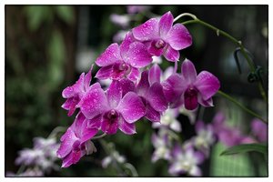 1200_Frame_A6500151-Bearbeitet.jpg 1200_Frame_A6500151-Bearbeitet.jpg