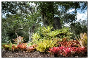 1200_Frame_7R200078-Bearbeitet.jpg 1200_Frame_7R200078-Bearbeitet.jpg