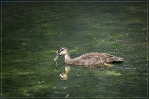 1200_Frame_A6500047-Bearbeitet.jpg 1200_Frame_A6500047-Bearbeitet.jpg