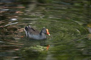 1200_Frame_A6500028.jpg 1200_Frame_A6500028.jpg