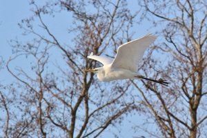 comp_IMG_7978 - Kopie.jpg