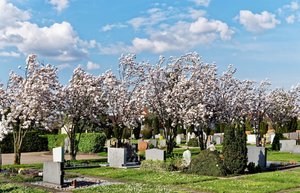 Bild 16.04.18 um 17.50.jpg