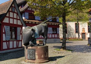 Bild 17.04.18 um 16.54.jpg