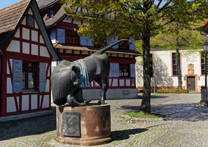 Bild 17.04.18 um 19.22.jpg