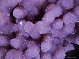 2018-04-29 10-11-06 (C).jpg