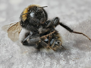 2018-04-29 11-46-25 (C).jpg