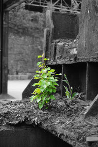 aHenrichshütte 13.jpg