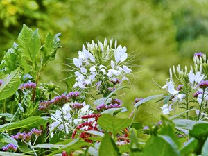 DSCN0351_Bildgröße ändern.JPG