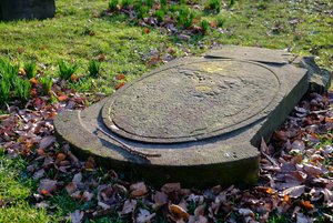 XT2D4032.jpg XT2D4032.jpg