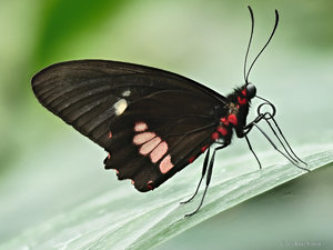 2018-05-05 08-13-10 (C).jpg 2018-05-05 08-13-10 (C).jpg