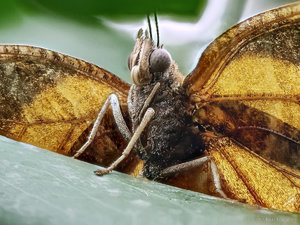 2018-05-05 09-07-07 (C)-Bearbeitet.jpg 2018-05-05 09-07-07 (C)-Bearbeitet.jpg