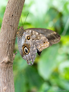 P1480407.jpg P1480407.jpg