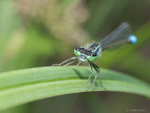 P1510790.jpg P1510790.jpg