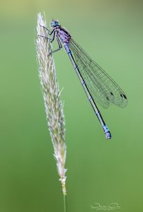 15280197102150.jpg 15280197102150.jpg