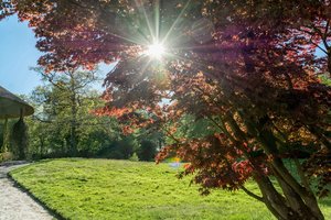 000_1776 Kopie_00056.jpg