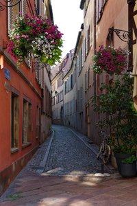 Bild 10.06.18 um 14.47.jpg