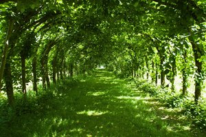 Schloß Gödens (2).jpg