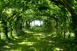 Schloß Gödens (3).jpg