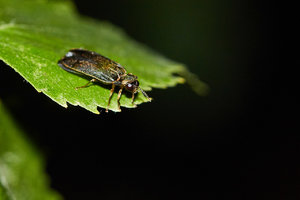 compr_IMG_4942.jpg compr_IMG_4942.jpg