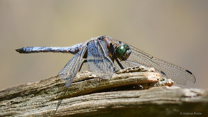 2018-06-18 22-49-07 (A,Radius8,Smoothing4).jpg 2018-06-18 22-49-07 (A,Radius8,Smoothing4).jpg