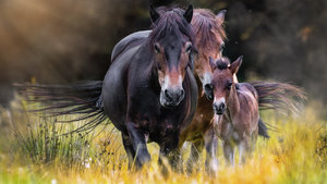 _MG_9804 grundbild-3.jpg