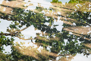 für Fotoforum-7.JPG