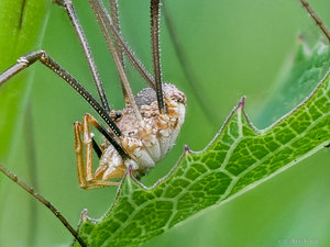 2018-06-24 18-47-26 (C)-2.jpg