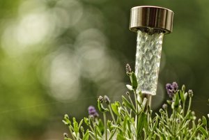 comp_D_MG_1431 copy.jpg